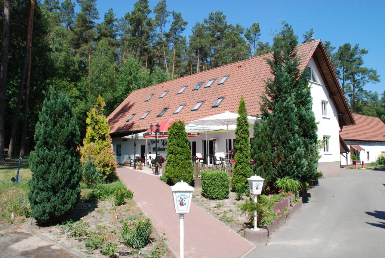 Haus Waldesruh Hotel Petersdorf  Buitenkant foto
